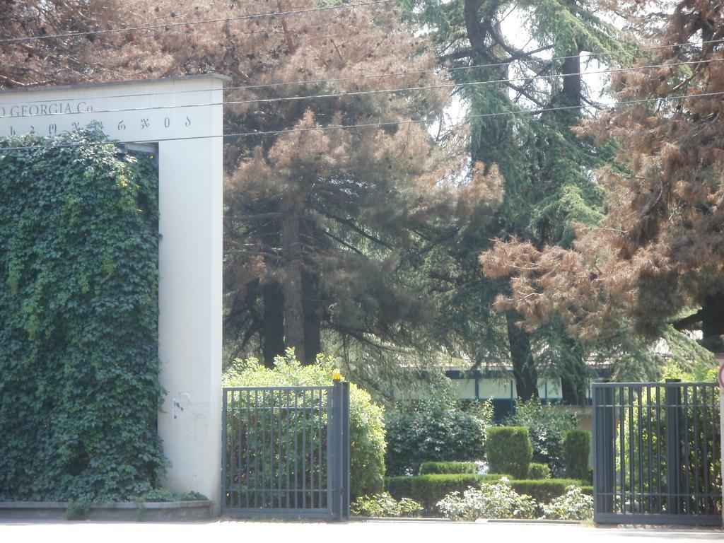 Guest House Nochleg 第比利斯 外观 照片